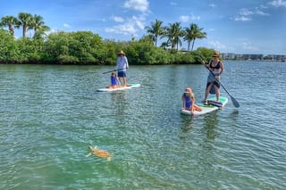 2017 TOUR Fogbound リイシューオールスターズ コンプリート Paddle Boarding Eco Adventure Tour Jupiter Florida - Singer Island